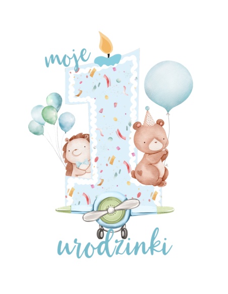 Body urodzinowe na roczek dla chłopca