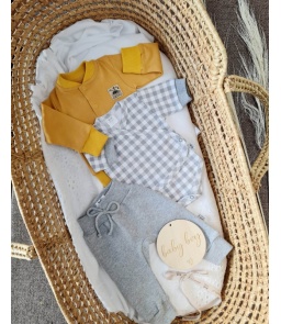 Komplet dla chłopca JACK 3 (body +spodnie+bluza)
