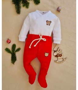Body i półśpiochy Teddy