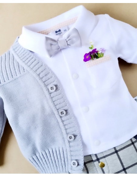 Muszka niemowlęca szara